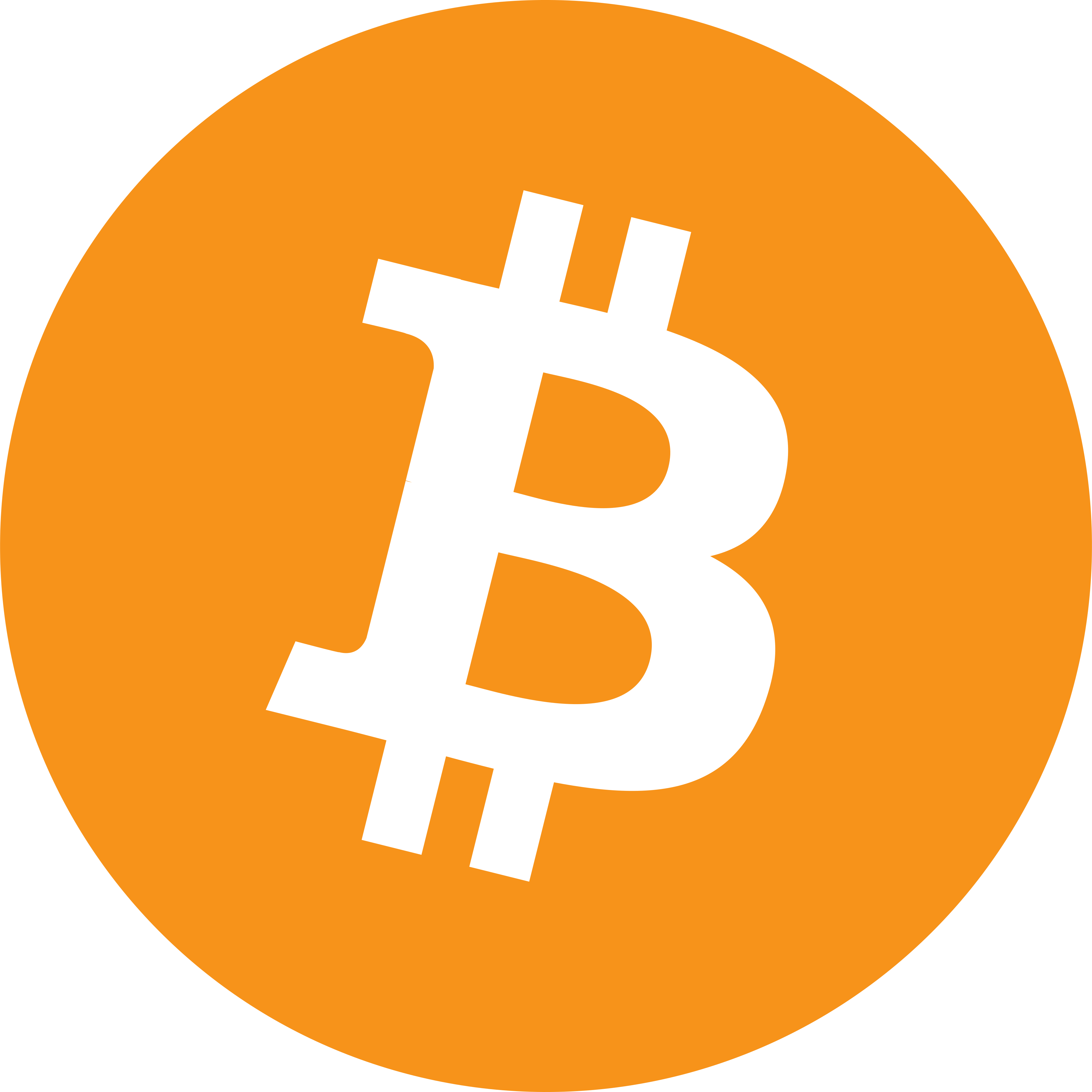 Bitcoincim — Bitcoin ve Altcoin Haberleri