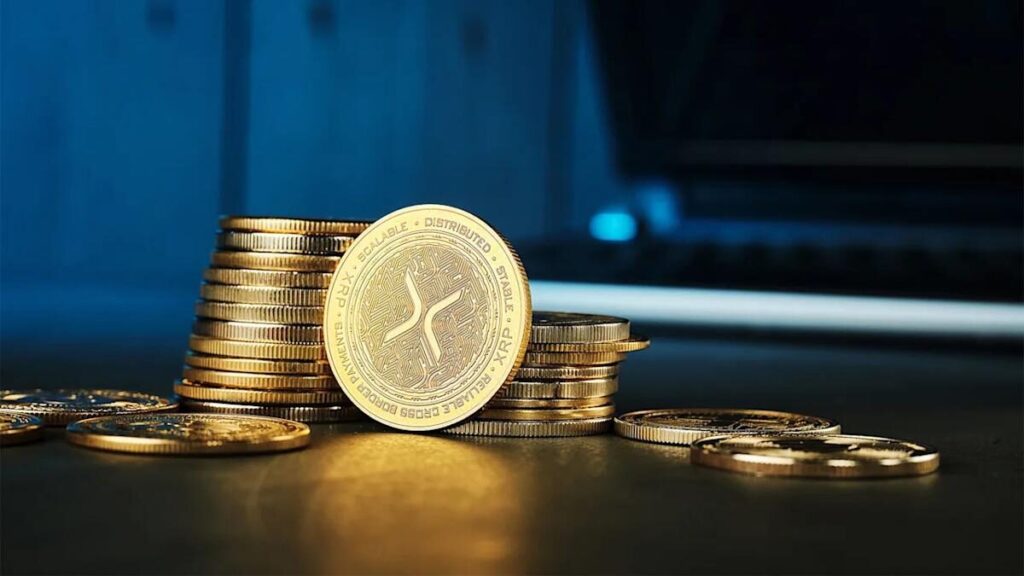 XRP ETF’lerine Haftalık 9,56 Milyon Dolar Girdi